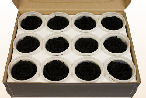 Größe S, 12 Rosen